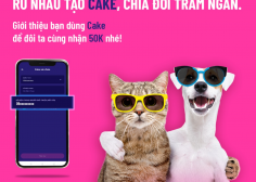 https://raoviec.net/wp-content/uploads/2021/08/gioi-thieu-cake-236x168.png