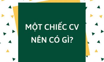 Nên viết gì trong CV?